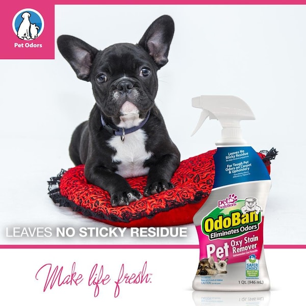 Odoban Pet Oxy Stain Remover and Odor Eliminator, 32 Oz Spray - 961561-Q6