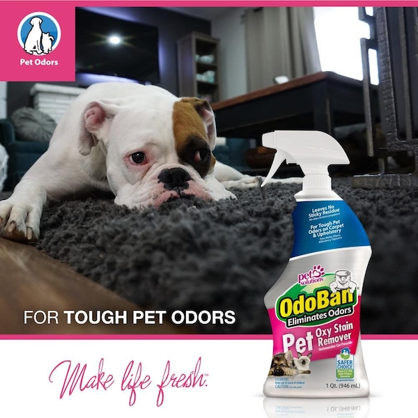 Odoban Pet Oxy Stain Remover and Odor Eliminator, 32 Oz Spray - 961561-Q6