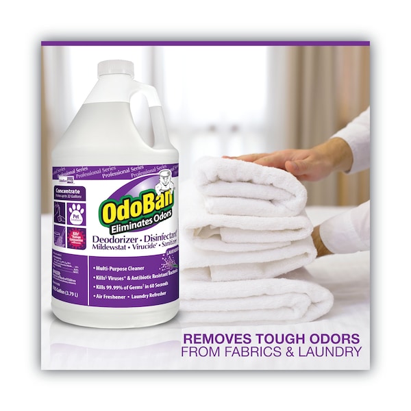 Odoban Concentrate Odor Eliminator and Disinfectant, Lavender, 1 gal, PK4 - CCC 911162-G4