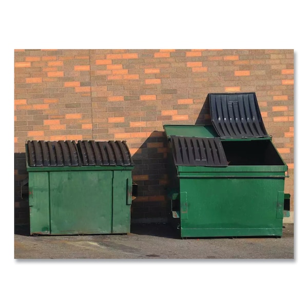 Betco Dumpster Treatment, Mango Scent, 1 gal Bottle, 4PK - 26090400