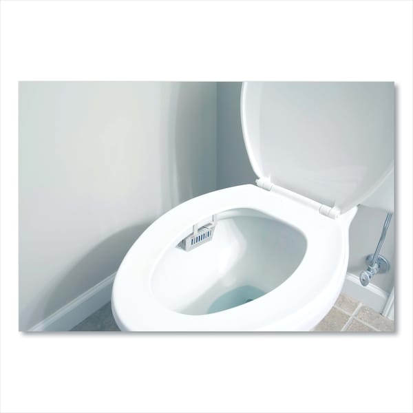 Big D Non-Para Toilet Bowl Block, Lasts 30 Days, White, Evergreen, PK12 - 066100
