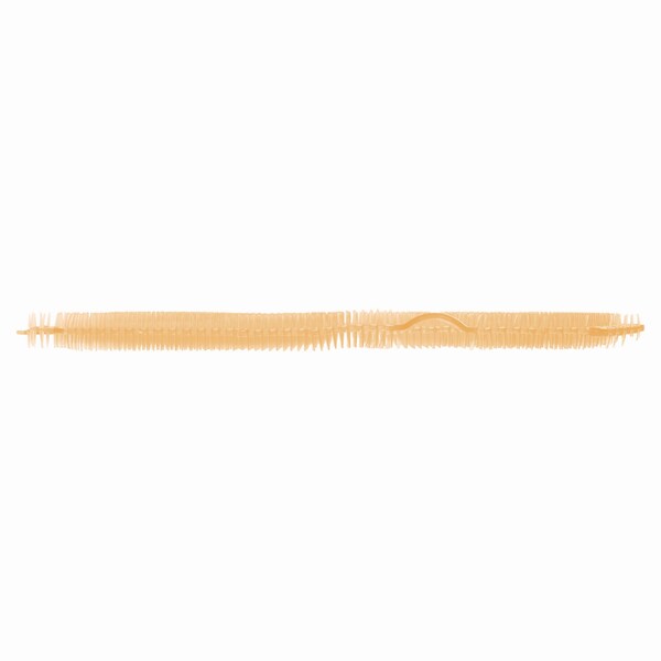 Fresh Products Tsunami, Urinal Screen, Summer Sunshine, 5.22 oz, Yellow, 6PK - TSU-F-006I006I-25