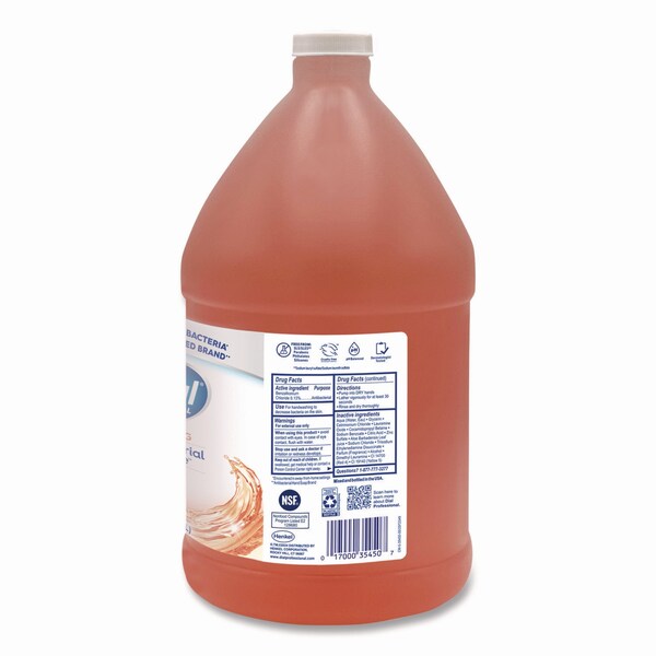 Dial Professional Antibacterial Foaming Hand Wash Refill, Plus Aloe, Original Scent, 1 gal, 4PK - 17000 35452