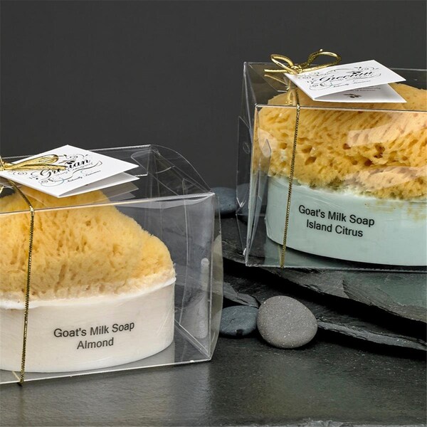 Estado Goats Milk SS-01 Goats Milk Soap with Sponge - Almond, 5 oz - ES3507105