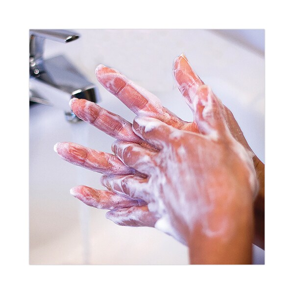 Safeguard Touch-Free Hand Soap Dispenser, 1.2 L, 5.98 x 3.94 x 11.42, White - 47439