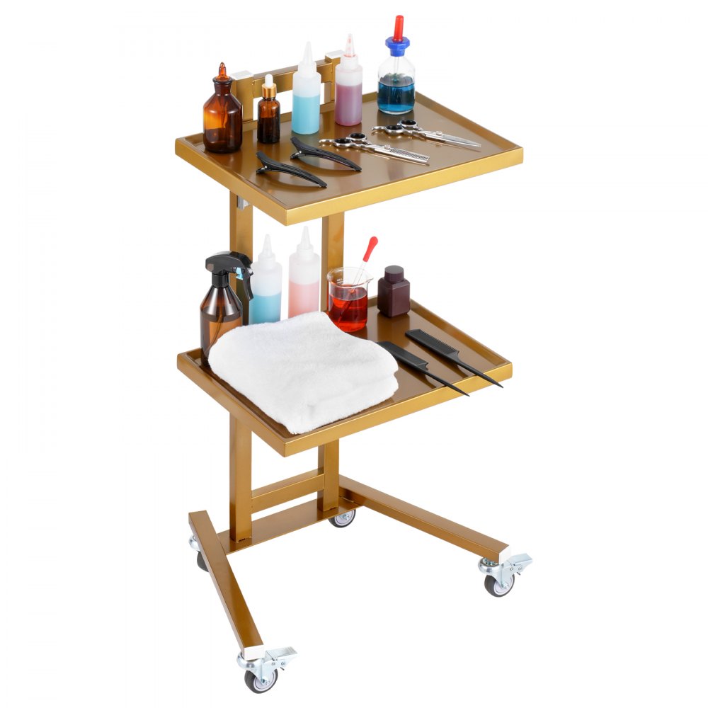 VEVOR 2 Tiers Stainless Steel Lab Carts with 2 Trays & 4 Silent Wheels Golden, Lab Serving Cart Utility Cart Stainless Steel Medical Cart, Lab Carts with 2 Drawers & Top Tray, Lab Rolling Cart for Lab, Clinic, Hospital, Salon, Office - SYSTCECKFYS4QES24V0