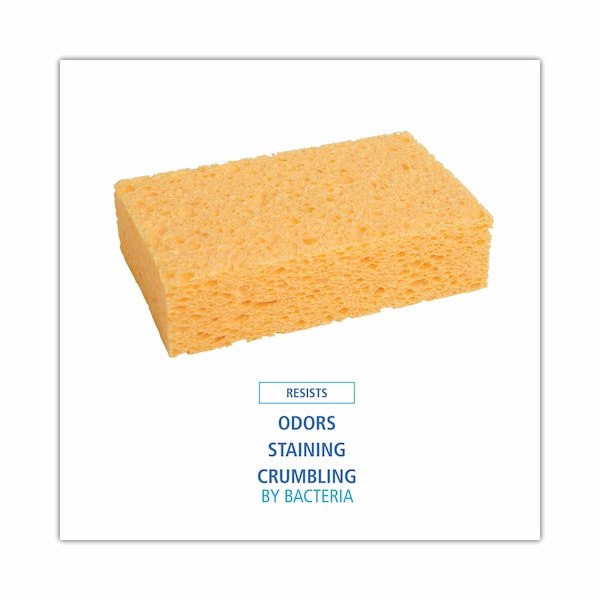 Boardwalk Medium Cellulose Sponge, 3 2/3 x 6 2/25", 1.55" Thick, Yellow, PK24 - C31BWK