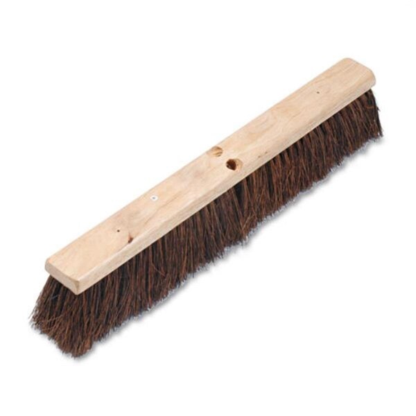 Pinpoint 24 in. Floor Palmyra Brush Head, Natural - PI3215592