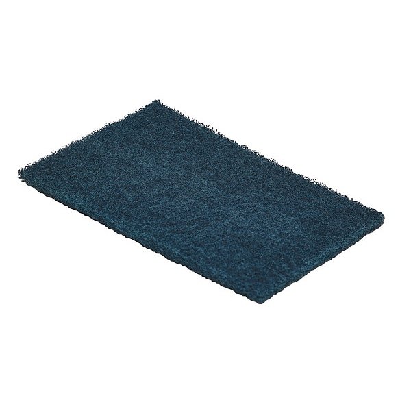 Lps Scouring Pad, 8 7/8 in L, Blue, PK60 - 59660