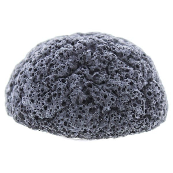 Erborian Charcoal Konjac Sponge for Women - 3.5 oz - I0087396