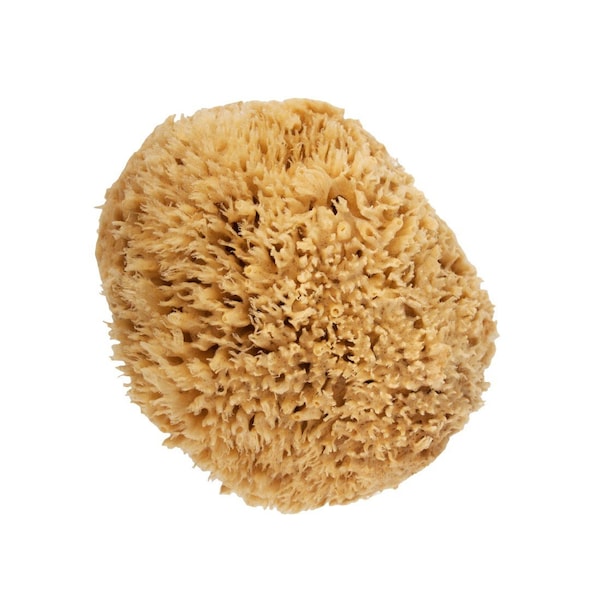 Xero Natural Sea Wool Sponge  Large - SLW - LG