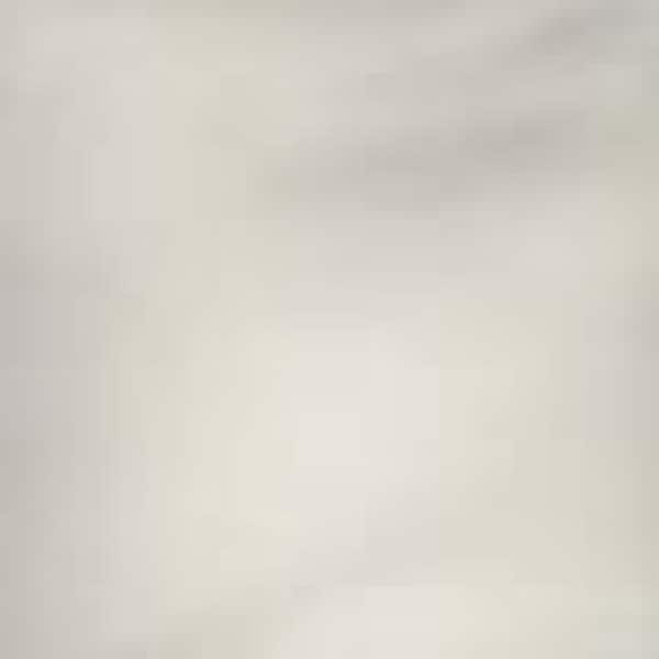 Westinghouse Westinghouse Brushed Nickel Silver Steel Ceiling Fan Down Rod - 77492