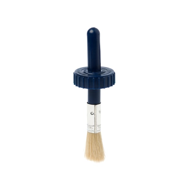 Black Swan Brush In Cap - Plastic Handle 3/4" wide - 11060