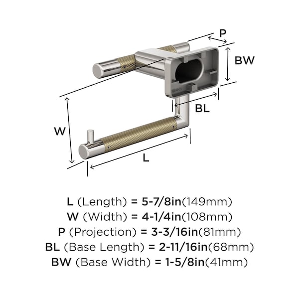 Amerock Esquire Polished Nickel/Golden Champagne Contemporary Single Post Toilet Paper Holder - BH26617PNBBZ
