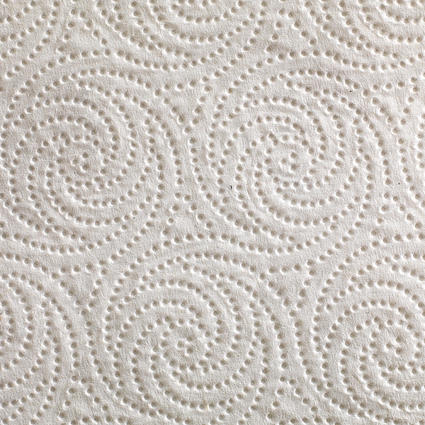 Georgia-Pacific Pacific Blue Select Perforated Roll Paper Towels, 2 Ply, 85 Sheets, 11 in x 8.8 in Sheets, White - 27385