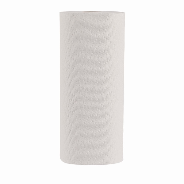 Windsoft Perforated Roll Paper Towels, 2 Ply, 2 Sheets, 55 ft, White, 12 PK - 418231