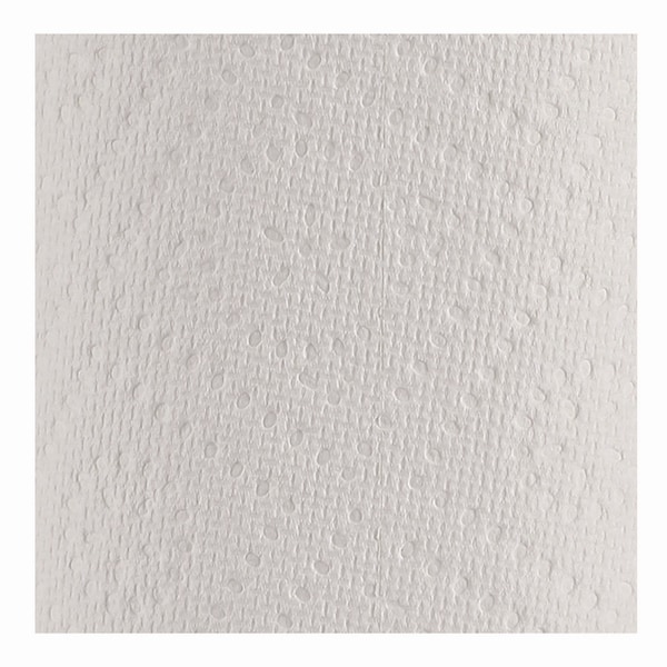 Windsoft Perforated Roll Paper Towels, 2 Ply, 2 Sheets, 55 ft, White, 12 PK - 418231