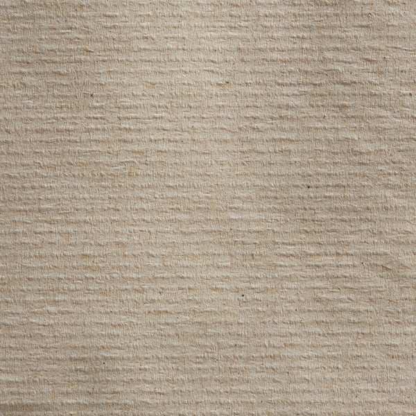 Georgia-Pacific Pacific Blue Basic Hardwound Paper Towels, 1 Ply, Continuous Roll Sheets, 1,000 ft, Brown, 6 PK - 26313