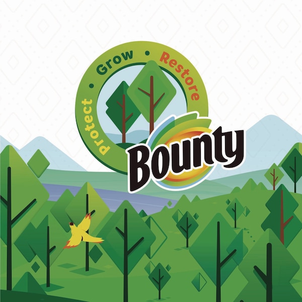 Bounty Essentials Select-A-Size Kitchen Roll Paper Towels, 2-Ply, 108 Sheets/Roll, 12 Rolls/Carton - 80759229
