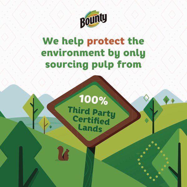 Bounty Essentials Select-A-Size Kitchen Roll Paper Towels, 2-Ply, 108 Sheets/Roll, 12 Rolls/Carton - 80759229