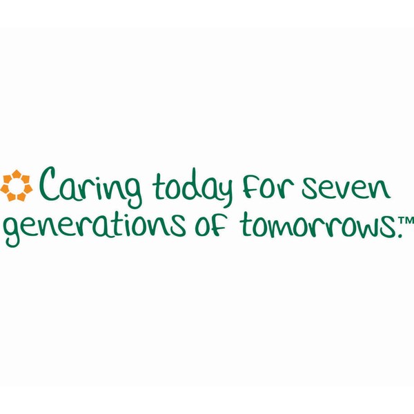 Seventh Generation Perforated Roll Paper Towels, 2 Ply, 120 Sheets, 9", Brown, 6 PK - SEV 13737