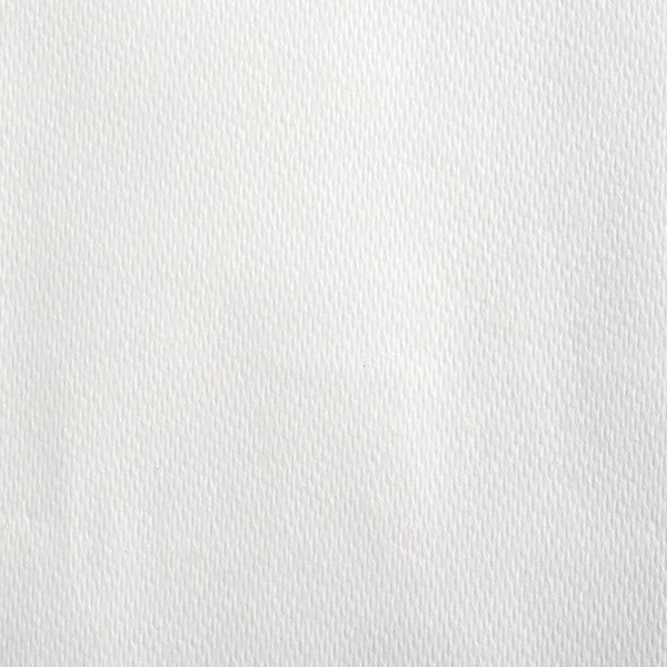 Georgia-Pacific Pacific Blue Select Hardwound Paper Towels, 1 Ply, Continuous Roll Sheets, 1000 ft, White, 6 PK - 26100