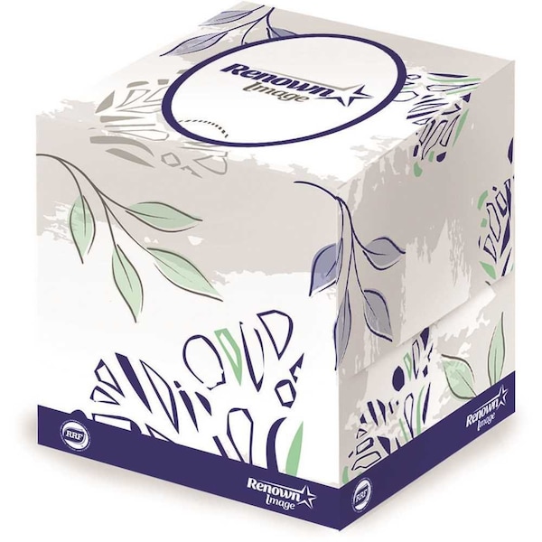 Renown Premium Cube Box 2-Ply Facial Tissue, 36PK - REN06038-SP