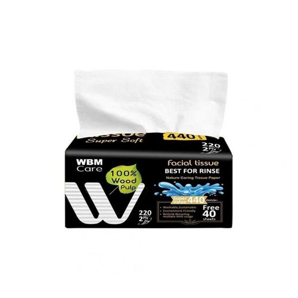 Wbm Care Facial Tissue - Unscented - 200 x 2 Sheet - 8102M