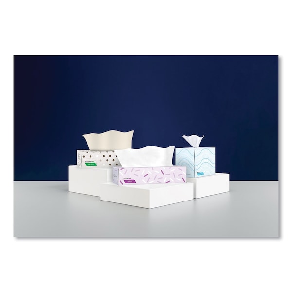 Cascades Pro 2 Ply Facial Tissue, 100 Sheets - F950