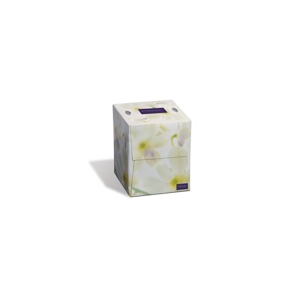 Kruger 08906 Embassy Facial Tissue Cube 2-Ply White 100 Sheets 3, 6PK - 8906