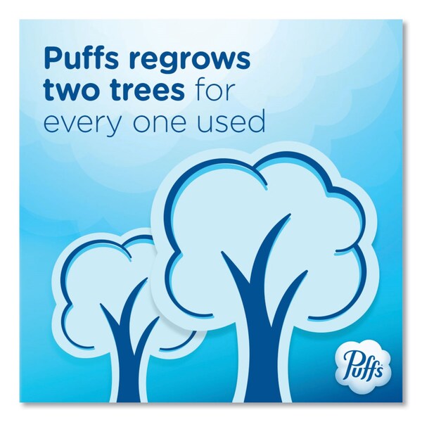 Puffs Ultra Soft Facial Tissue, 2-Ply, White, 124 Sheets/Box, 24PK - 80337307
