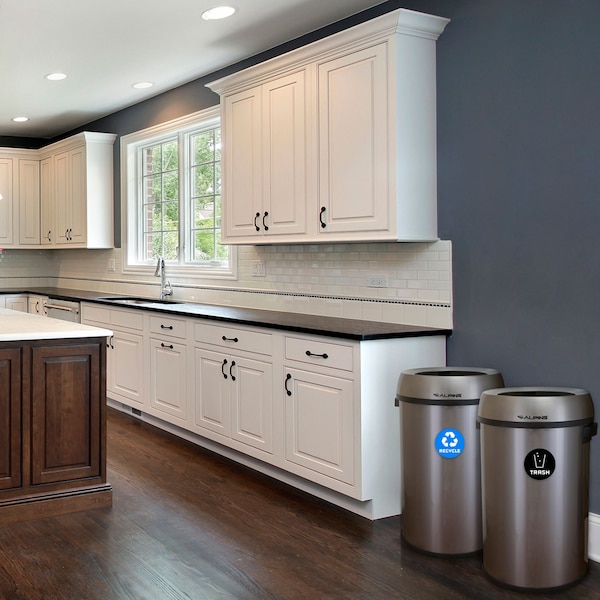 Alpine Industries Trash Can, Stainless Steel Brushed, Stainless Steel/Plastic - ALP470-65L-R-T