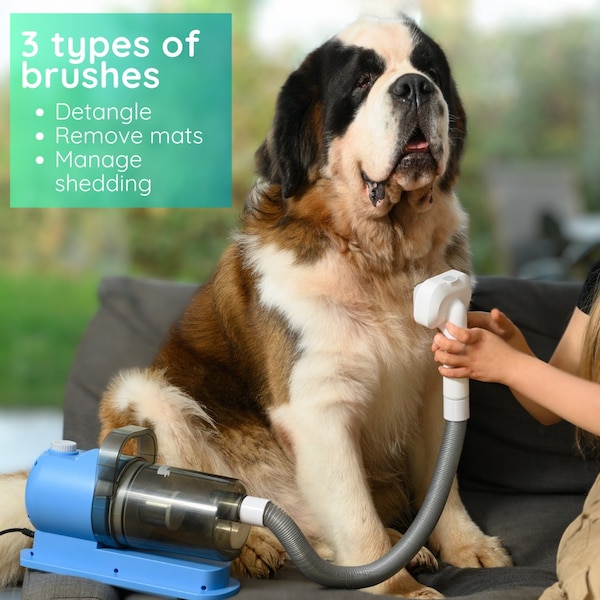 Ewbank Grooming Kit for Dogs & Cats, with Vacuum, Low noise, Adjustable Speed Suction, 16 pcs - PGK005