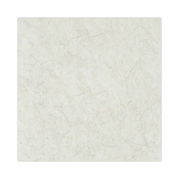 Premiere Pads FloorPads, UltraHighSpeed, 20", Natural, PK5 - PAD 4020 NAT