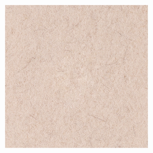 Boardwalk Natural Hog Hair Burnishing Floor Pads, 21" Diameter, PK5 - BWK4021NHE