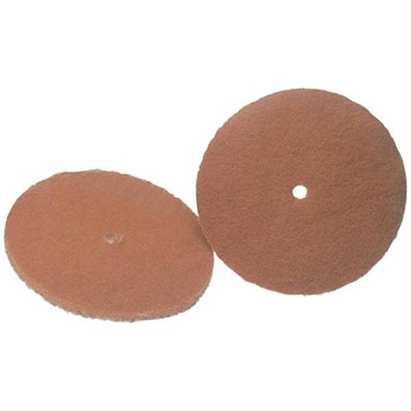 Eat-In 6 in.  And Regina  Cleaning Pads  Tan - EA113714