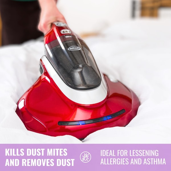 Ewbank Convertible Vacuum Cleaner with Attachments & Bed/Fabric Sanitizer with UV Light - UV400