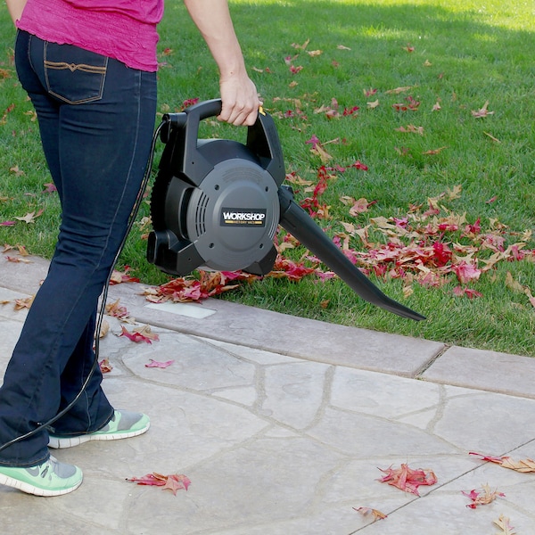 Workshop Wet/Dry Vacs 4 Gal. 6.0 Peak HP Wet/Dry Vacuum Cleaner with Blower and Accessories - WS0400DE