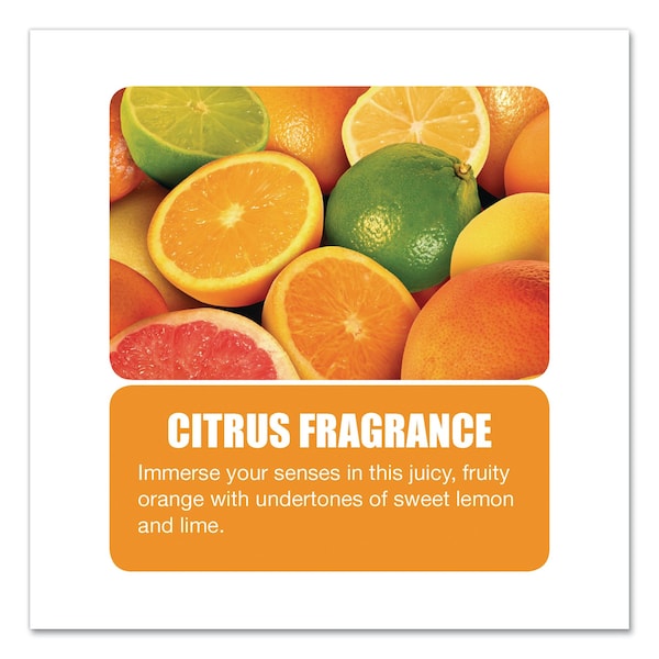 Big D Cleaners & Detergents, Aerosol Spray, Citrus, 12 PK - 33700