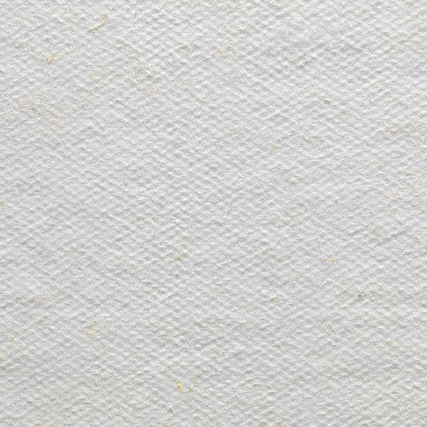 Georgia-Pacific Dry Wipe, F900, Dispenser Box, Flax, 9 in x 16 1/2 in, 72 Sheets, 10 Pack - 29608