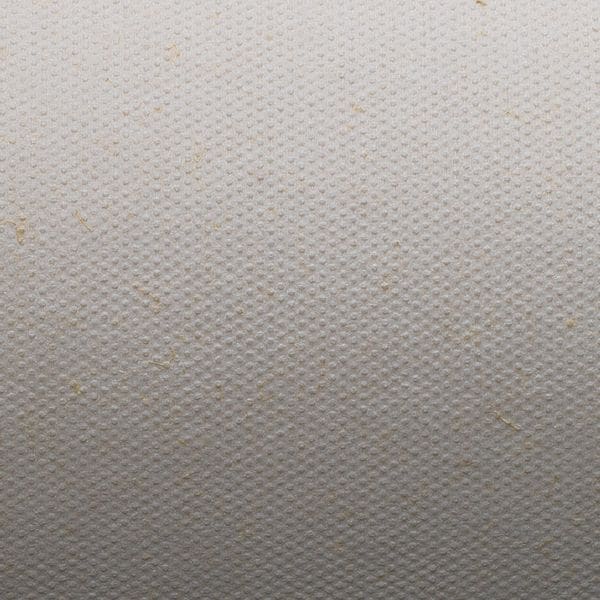 Georgia-Pacific Disposable Wipes Flax Fiber 10.6" x 6.7", White, 690 Sheets/PK 2PK - 29602