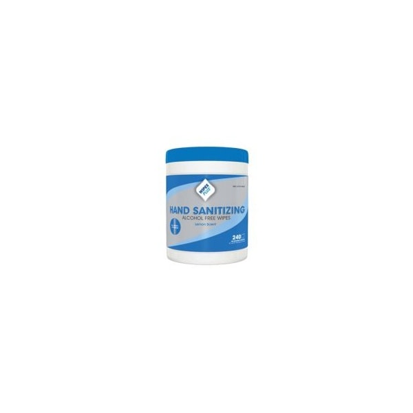 Progressive Products Wipes Plus Antibacterial Hand Sanitizing Wipe 240 ct Canisters, 12PK - 33803
