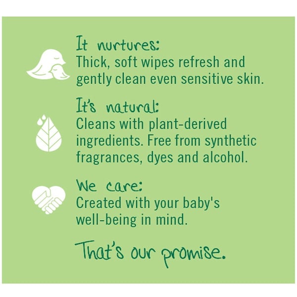 Seventh Generation Baby Wipes, Unscented, White, PK12 - 34208