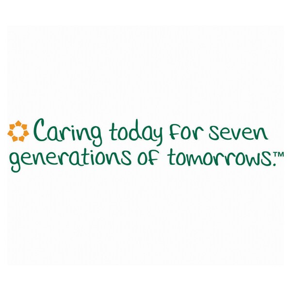 Seventh Generation Paper Kitchen Towel Rolls, 2-Ply, 11 x 5.4, 140 Sheets/Roll, PK24 - SEV 13731