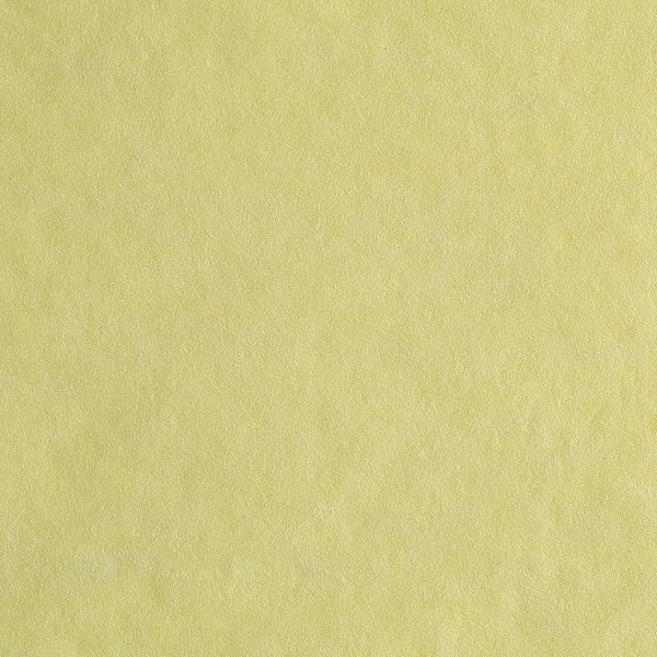 Georgia-Pacific Rayon Dust Cloth 17" x 24", Yellow, 200PK - 29616