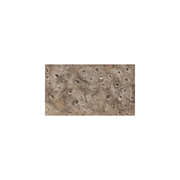 Bonway Bon 32-407 Texture Skin, Gulf Coast Sea Shell, 36" X 36" - 32-407