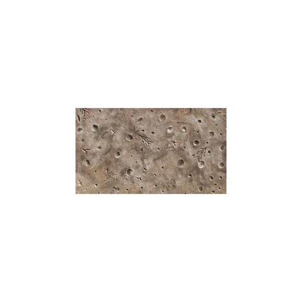 Bonway Bon 32-408 Texture Skin, Gulf Coast Sea Shell, 48" X 48" - 32-408