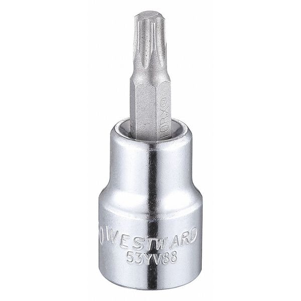 Westward 3/8 in Drive Torx(R) Socket Bit Metric T30 Tip, 1 7/8 in L - 53YV88
