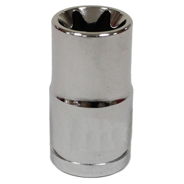 Westward 3/8 in Drive, E11 Female Star SAE Socket - 20HX32