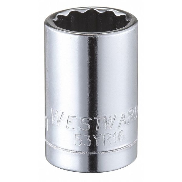 Westward WESTWARD 1/4 in Drive, 10mm Triple Square Metric Socket, 12 Points, Steel, Chrome, 10 mm - 53YR16